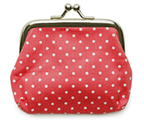 portemonnee met geld